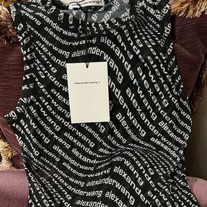 Alexander Wang Mesh Dress In Black